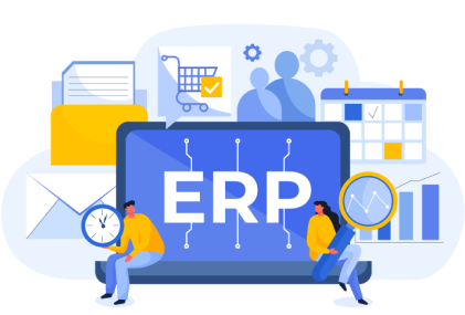 Custom ERP Software